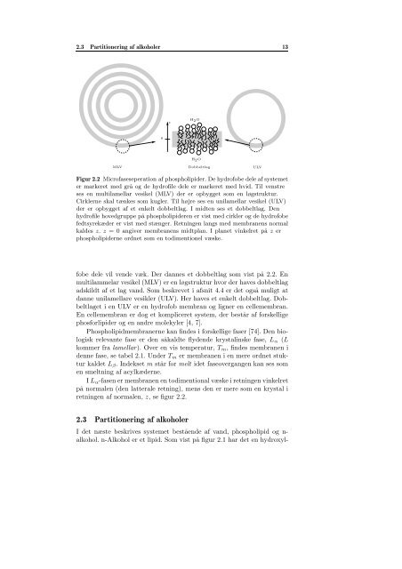 A Figurer og tabeller til Kapitel 3 - dirac - Roskilde Universitet