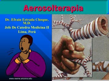 Aerosolterapia - Reeme.arizona.edu