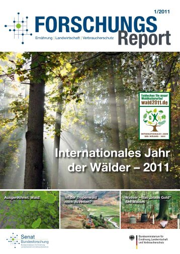 Internationales Jahr der WÃƒÂ¤lder 2011 - BMELV