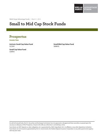 Wells Fargo Advantage Funds Summary Prospectus - The Deferred ...