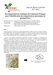 DÃ©veloppement de techniques de traitement d'images pour l ...