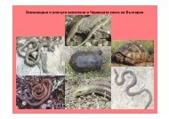 Земноводни и влечуги включени в Червената книга на България