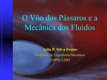 O VÃ´o dos PÃ¡ssaros e a MecÃ¢nica dos Fluidos - LaboratÃ³rio de ...