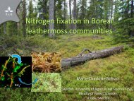 Nitrogen fixation in Boreal feathermoss communities - Chaire AFD