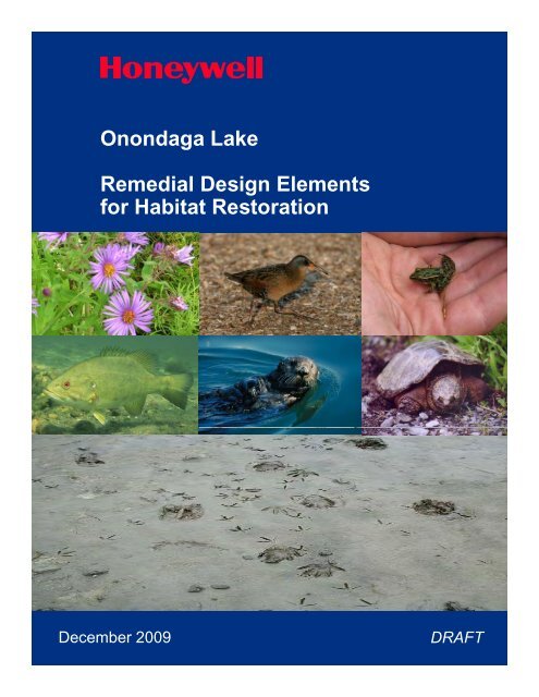 Onondaga Lake Remedial Design Elements Remedial Design ...