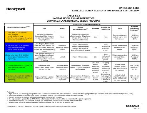 Onondaga Lake Remedial Design Elements Remedial Design ...