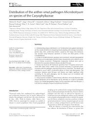 Distribution of the anthersmut pathogen Microbotryum on species of ...