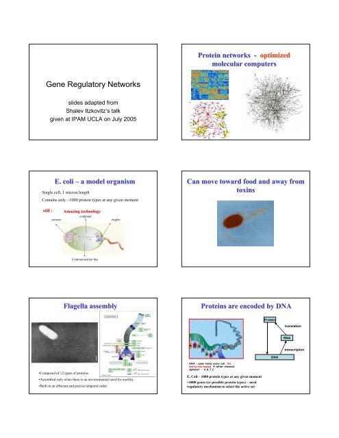 Gene Regulatory Networks - index.tr [METU Computer Engineering]