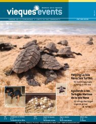 Helping La Isla Nena Sea Turtles - Vieques Events