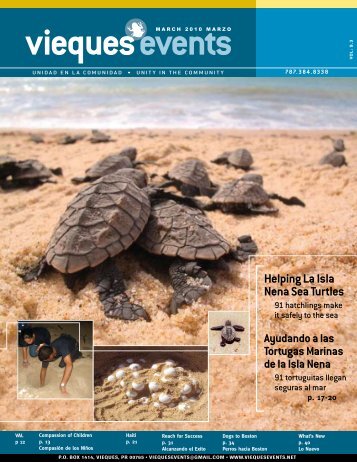 Helping La Isla Nena Sea Turtles - Vieques Events