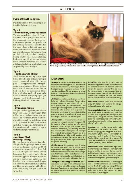 Doggy Rapport 4 - 2011