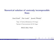 Numerical solution of unsteady incompressible flows