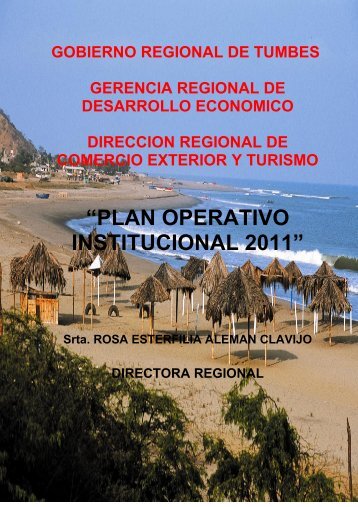 “PLAN OPERATIVO INSTITUCIONAL 2011” - ITD Consulting
