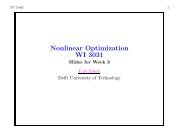 Nonlinear Optimization WI 3031 - TU Delft