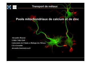 Alexandre Bouron - MeetOchondrie - CNRS