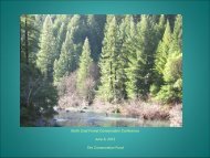 Big River/Salmon Creek Forests Case Study - Sonoma Land Trust