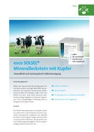 esco SOLSEL® Mineralleckstein mit Kupfer