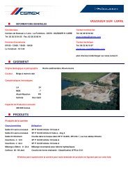 OUZOUER SUR LOIRE GISEMENT PRODUITS - Cemex