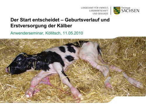 Geburtsverlauf und Erstversorgung der Kälber - Landwirtschaft in ...