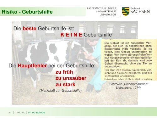 Geburtsverlauf und Erstversorgung der Kälber - Landwirtschaft in ...