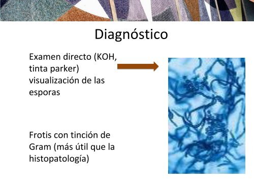 caso foliculitis por malasezzia.pdf - PIEL-L Latinoamericana