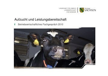 Jungrinderaufzucht_Dr. Ilka Steinhoefel_2010 - Landwirtschaft in ...