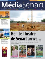 Média Sénart 303 - juin 2013 - San de Sénart