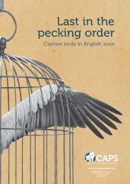 Last in the pecking order - Captive Animals Protection Society