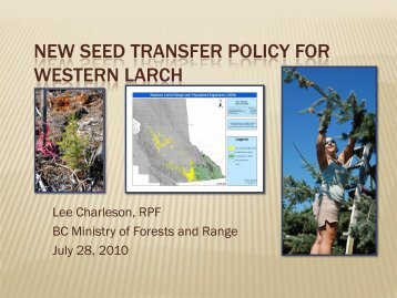 NEW SEED TRANSFER POLICY FOR WESTERN LARCH