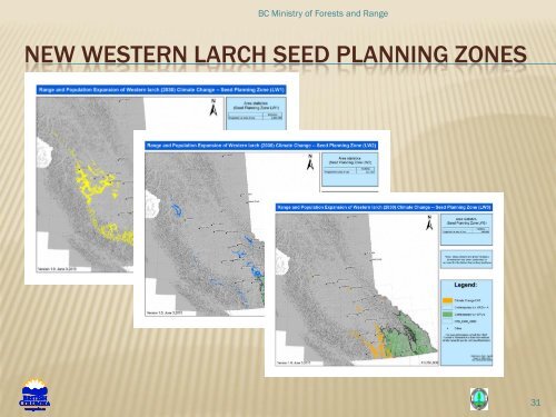 NEW SEED TRANSFER POLICY FOR WESTERN LARCH