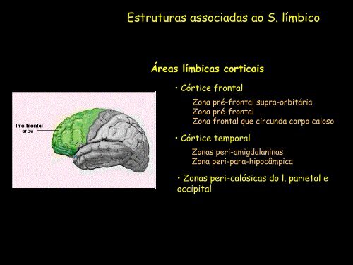 Sistema Límbico (PDF, 1690Kb)