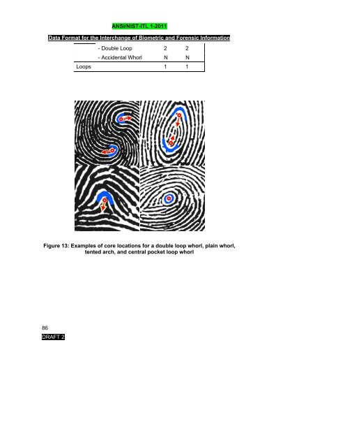 ANSI/NIST-ITL 1-2011 - NIST Visual Image Processing Group ...