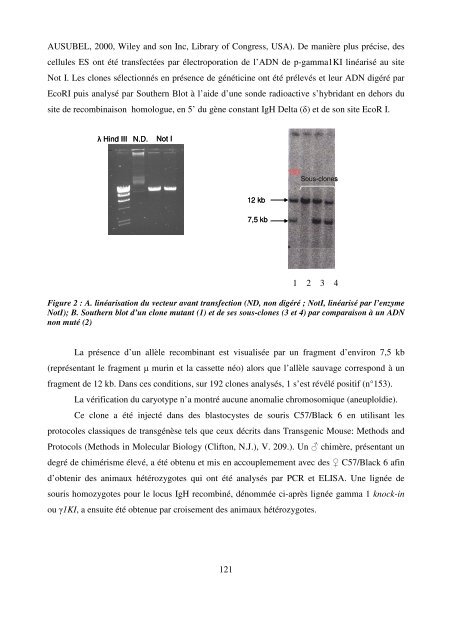 Modèles transgéniques pour l'étude de la fonction ... - Epublications