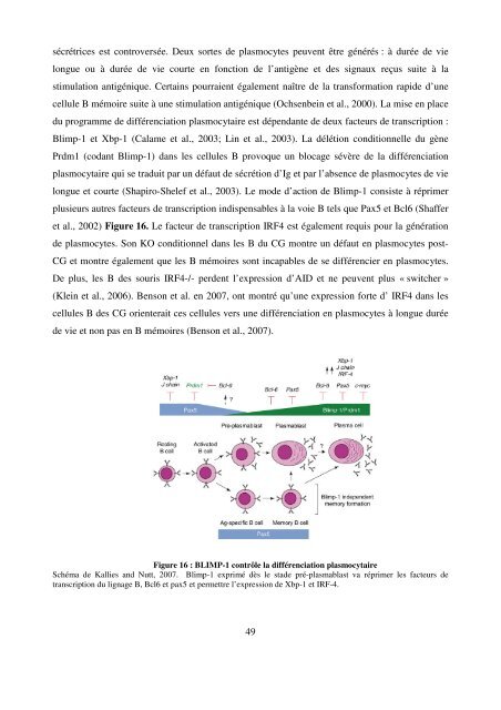 Modèles transgéniques pour l'étude de la fonction ... - Epublications