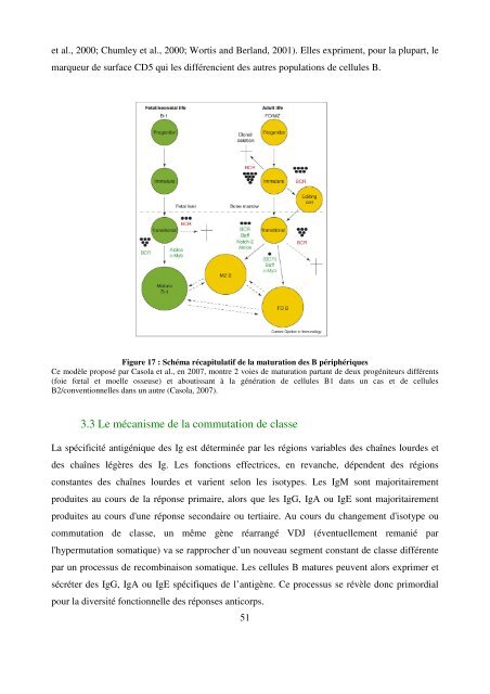 Modèles transgéniques pour l'étude de la fonction ... - Epublications