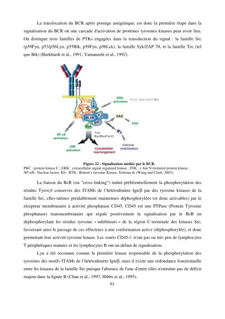 Modèles transgéniques pour l'étude de la fonction ... - Epublications