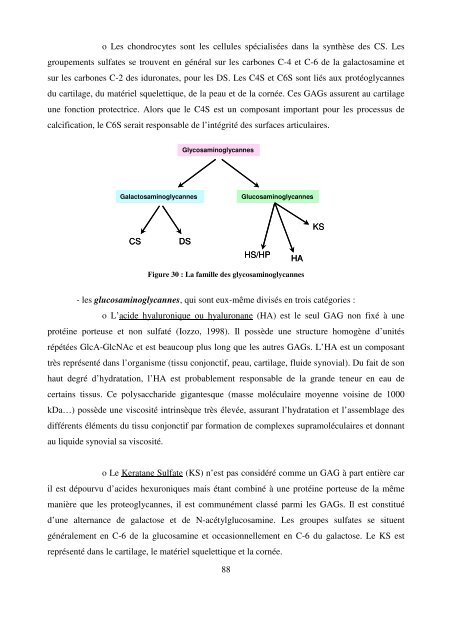 Modèles transgéniques pour l'étude de la fonction ... - Epublications