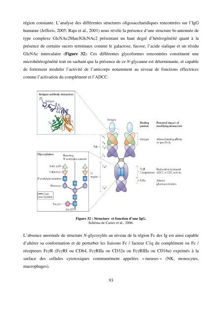 Modèles transgéniques pour l'étude de la fonction ... - Epublications