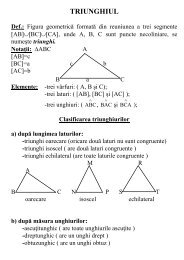 Triunghiul_teorie.pdf