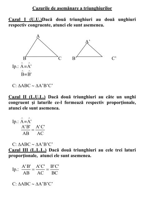 Triunghiul_teorie.pdf