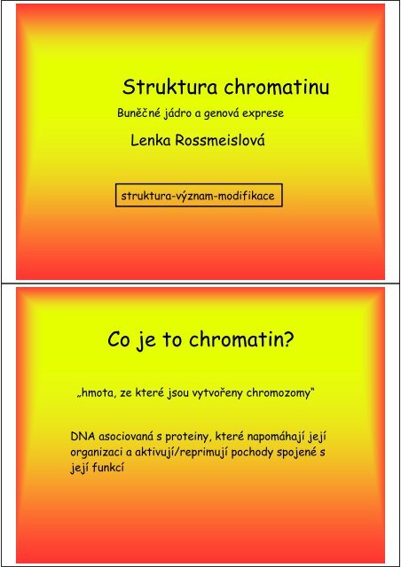 Struktura chromatinu Co je to chromatin? - Laboratory of Biology of ...