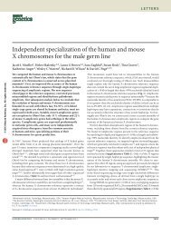 Independent specialization of the human and mouse X ...
