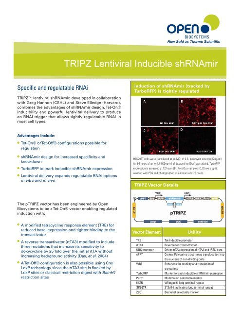 TRIPZ Lentiviral Inducible shRNAmir