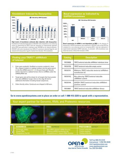 TRIPZ Lentiviral Inducible shRNAmir