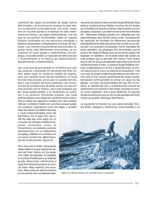 Origen del petroleo e historia.pdf - UNAM