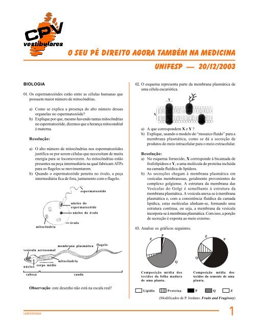 o Seu pÃ© direito agora tambÃ©m na medicina - CPV