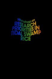 tidal swamps - IRRI books - International Rice Research Institute