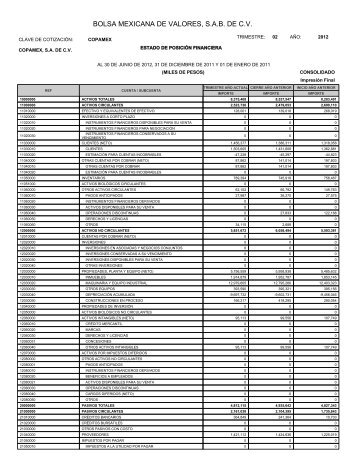 Reporte Segundo Trimestre 2012 - Copamex