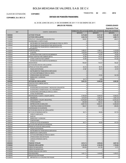 Reporte Segundo Trimestre 2012 - Copamex