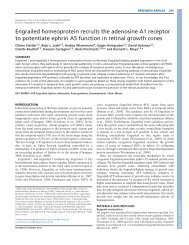 PDF (2 Mo) - ENS Biology Department - Ecole Normale SupÃ©rieure